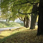 Apartman Am Weltnaturerbe Grumsin *