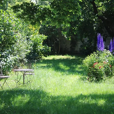 Am Weltnaturerbe Grumsin *