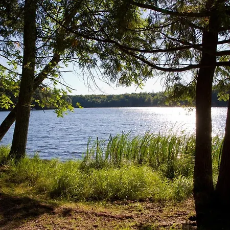 Am Weltnaturerbe Grumsin * Ziehten