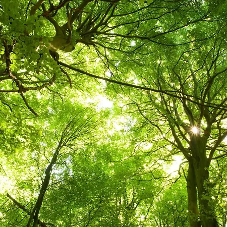 شقة Am Weltnaturerbe Grumsin