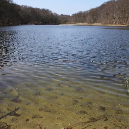شقة Am Weltnaturerbe Grumsin