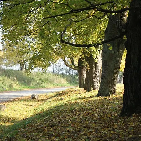 شقة Am Weltnaturerbe Grumsin *