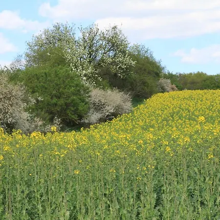 Am Weltnaturerbe Grumsin Ziehten
