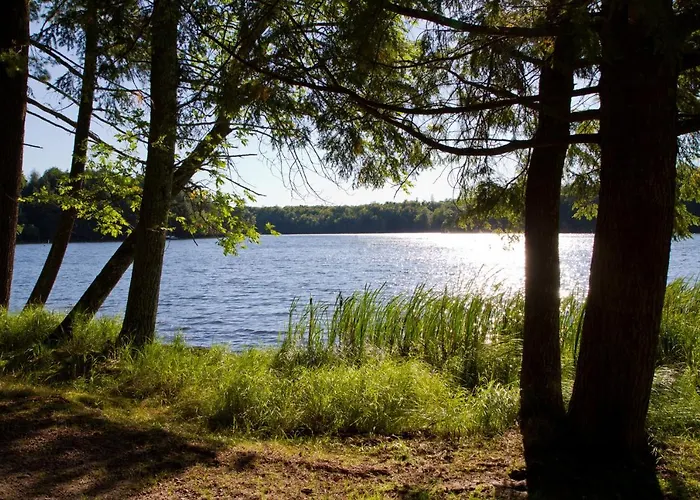 Am Weltnaturerbe Grumsin * Ziehten