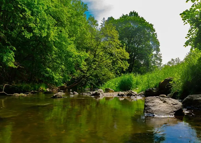 Am Weltnaturerbe Grumsin Daire Ziehten
