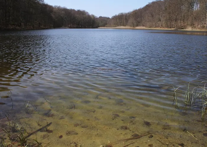 Daire Am Weltnaturerbe Grumsin