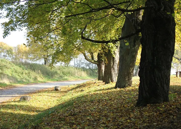 Daire Am Weltnaturerbe Grumsin *