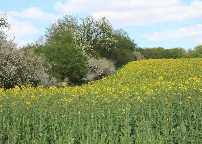 Am Weltnaturerbe Grumsin Ziehten