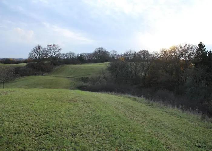 Am Weltnaturerbe Grumsin Daire Ziehten