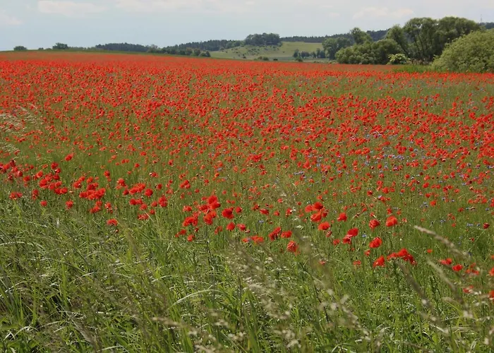 Am Weltnaturerbe Grumsin Daire *